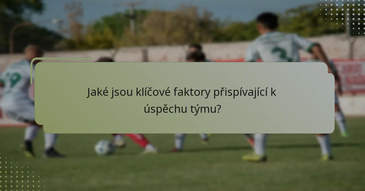 Jaké jsou klíčové faktory přispívající k úspěchu týmu?