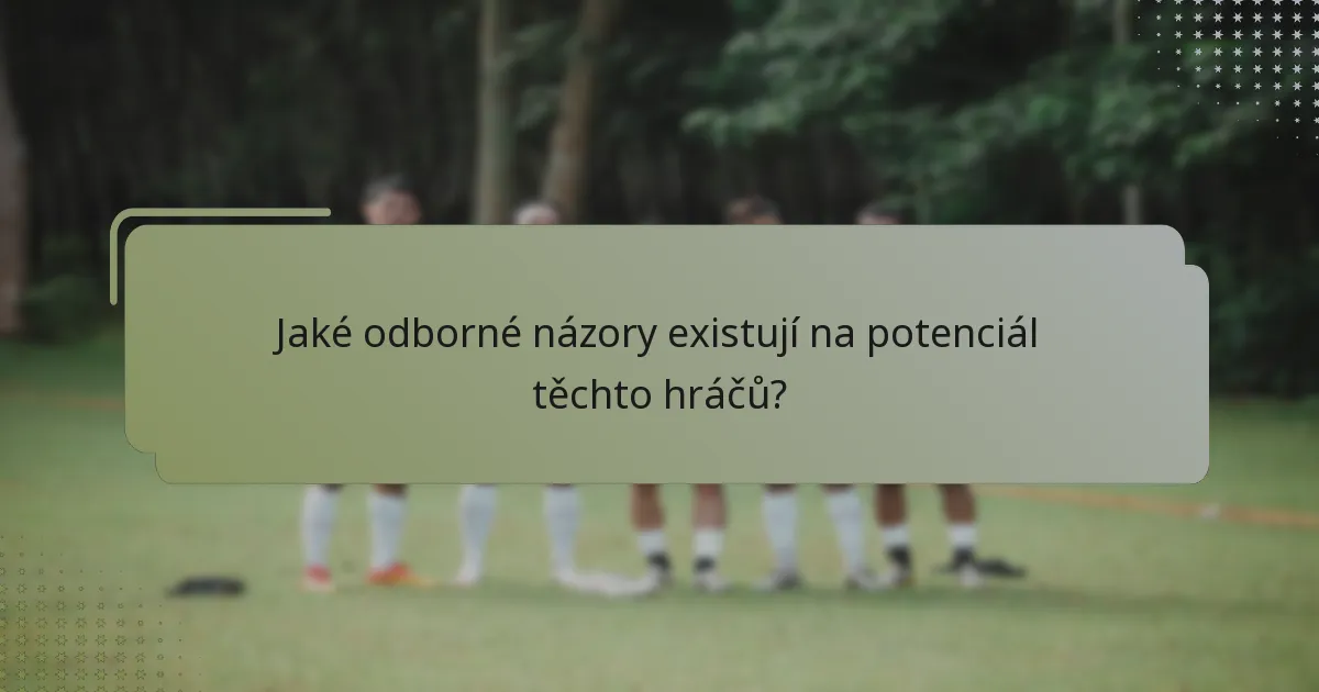 Jaké odborné názory existují na potenciál těchto hráčů?