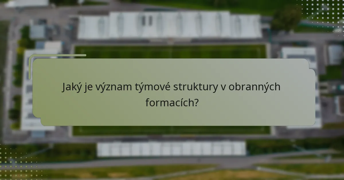 Jaký je význam týmové struktury v obranných formacích?